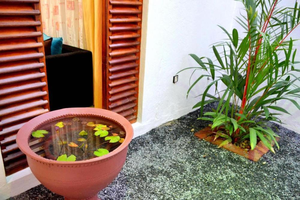 Sobaya Residence Ambalantota المظهر الخارجي الصورة